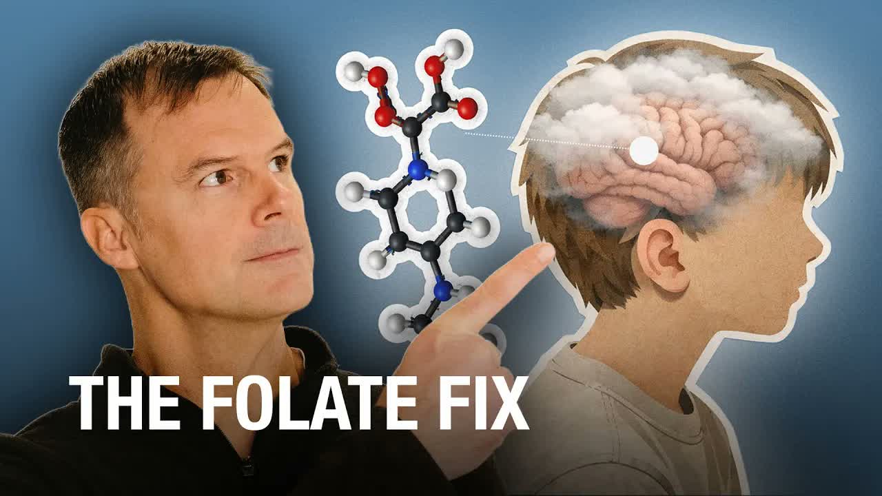 Folate fix thumbnail
